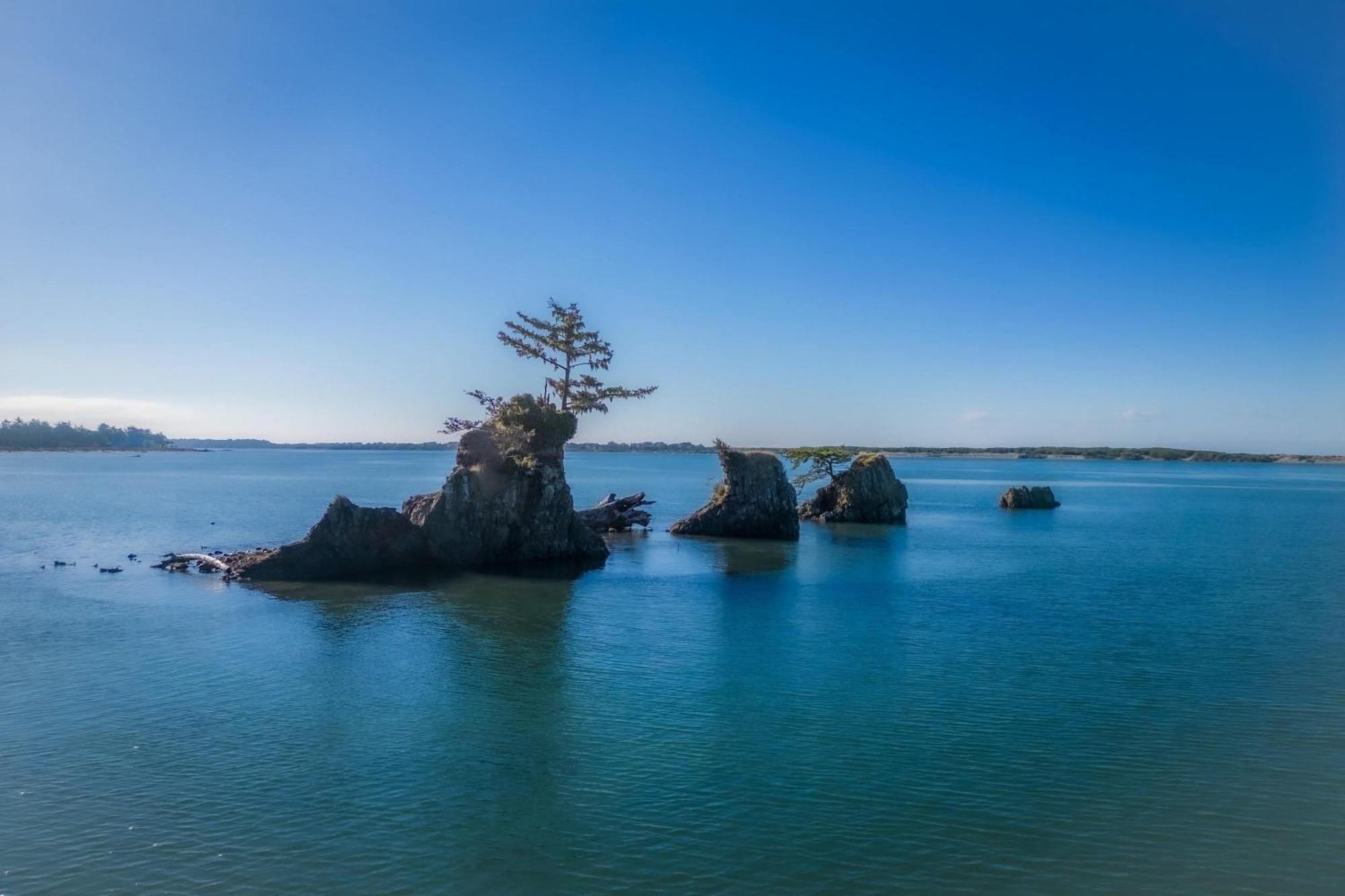 Waters Edge 103 Daire Lincoln City Dış mekan fotoğraf